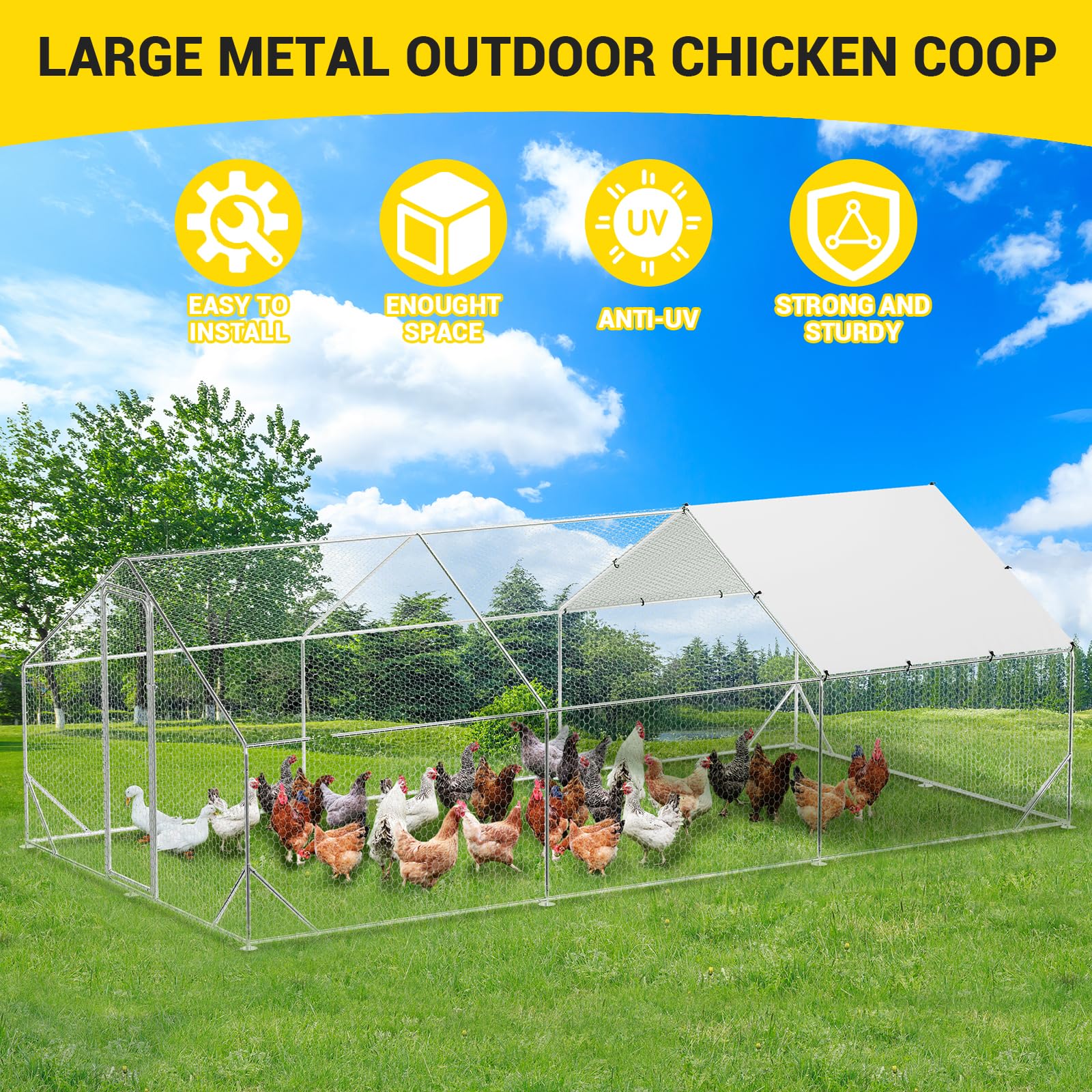 DEXSO ENCOREPHOBA8807 Chicken-Coops-Rabbit-Hutches - View #7