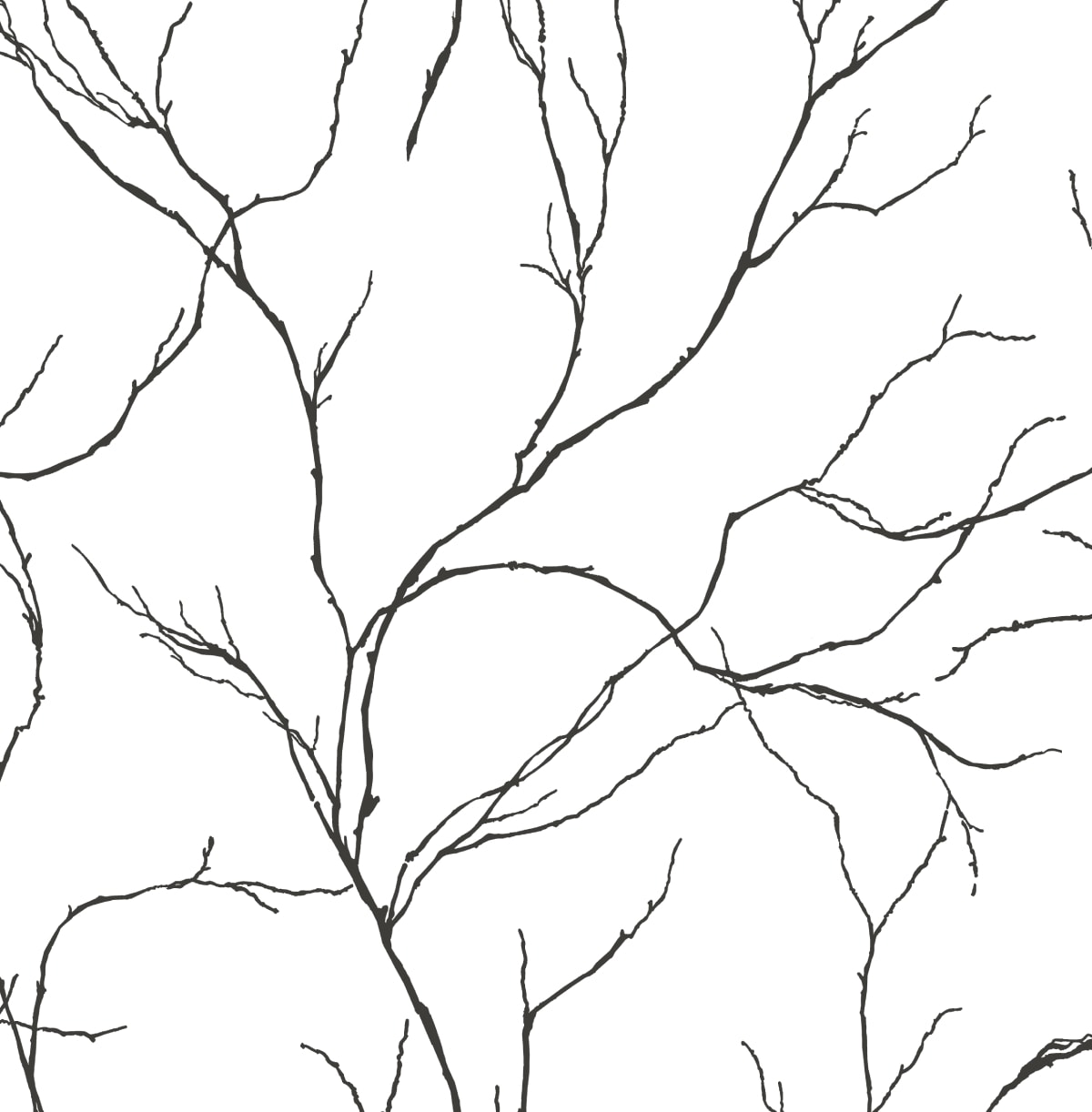 NextWall NW39000 30.75-Sq. Feet Ebony Vinyl Ivy/Vines Self-adhesive Peel and Stick Wallpaper