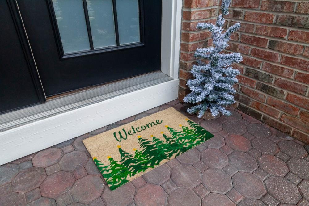 Entryways P2245 Mats-Cat - View #3