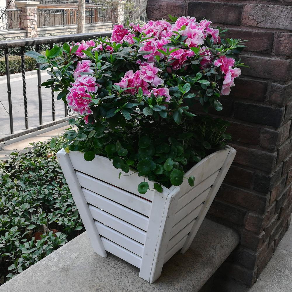 14-in W x 14-in H White Wood Indoor/Outdoor Planter at Lowes.com