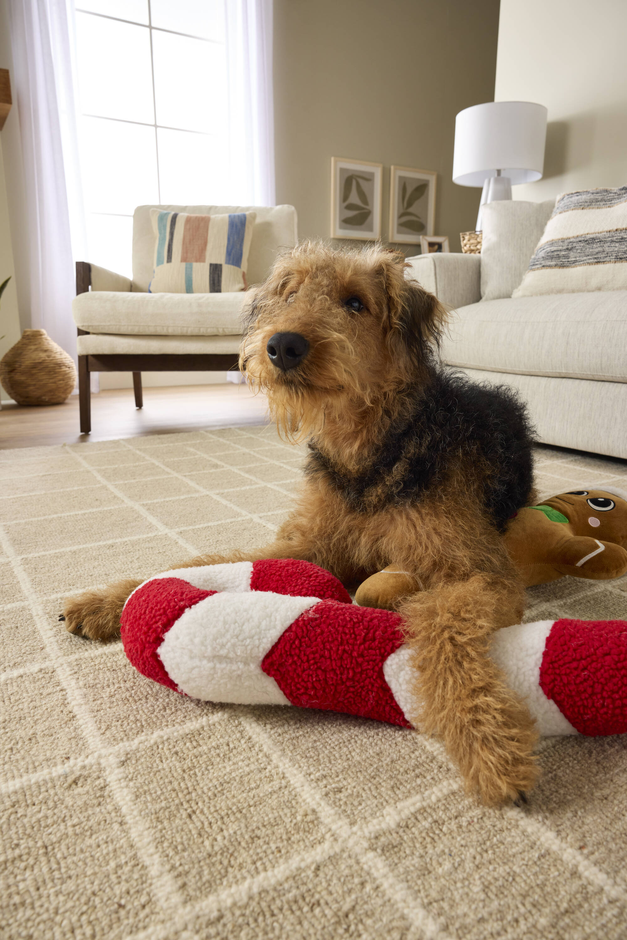 Heart & Herd YT0411 Dog-Toys - View #3