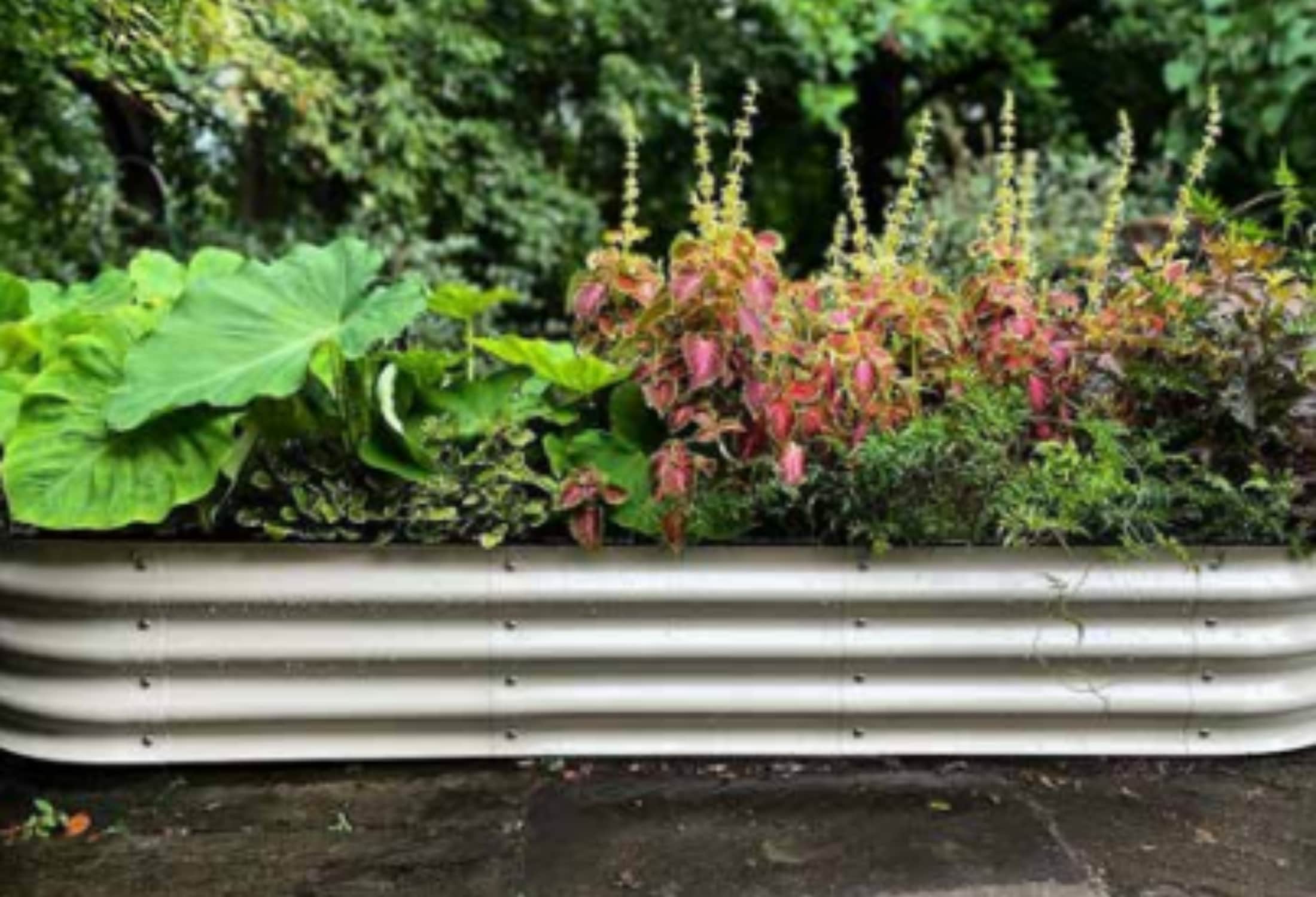 Vego Garden VB6N111W Raised-Garden-Beds - View #2