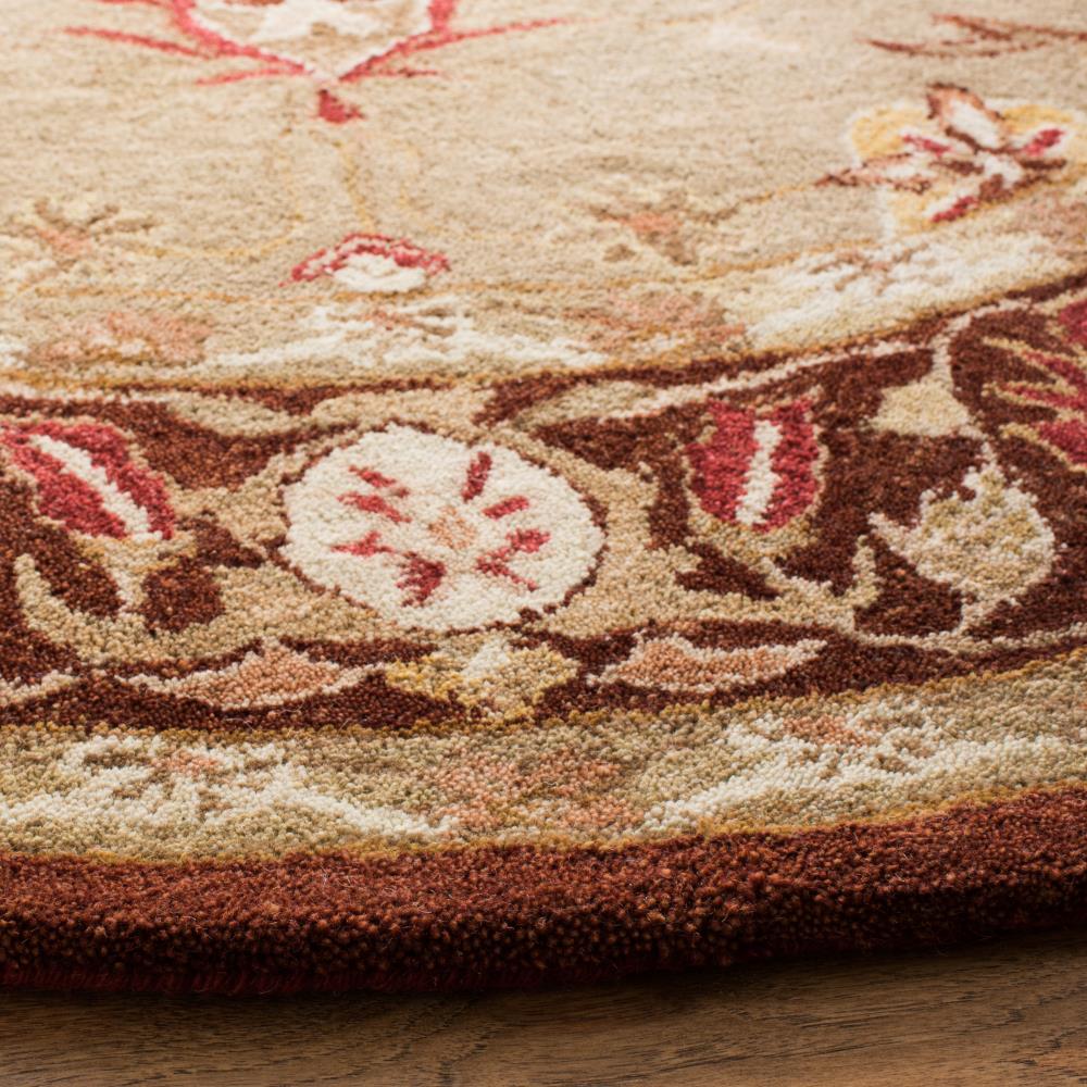 Safavieh AN556A-6R rugs - View #3
