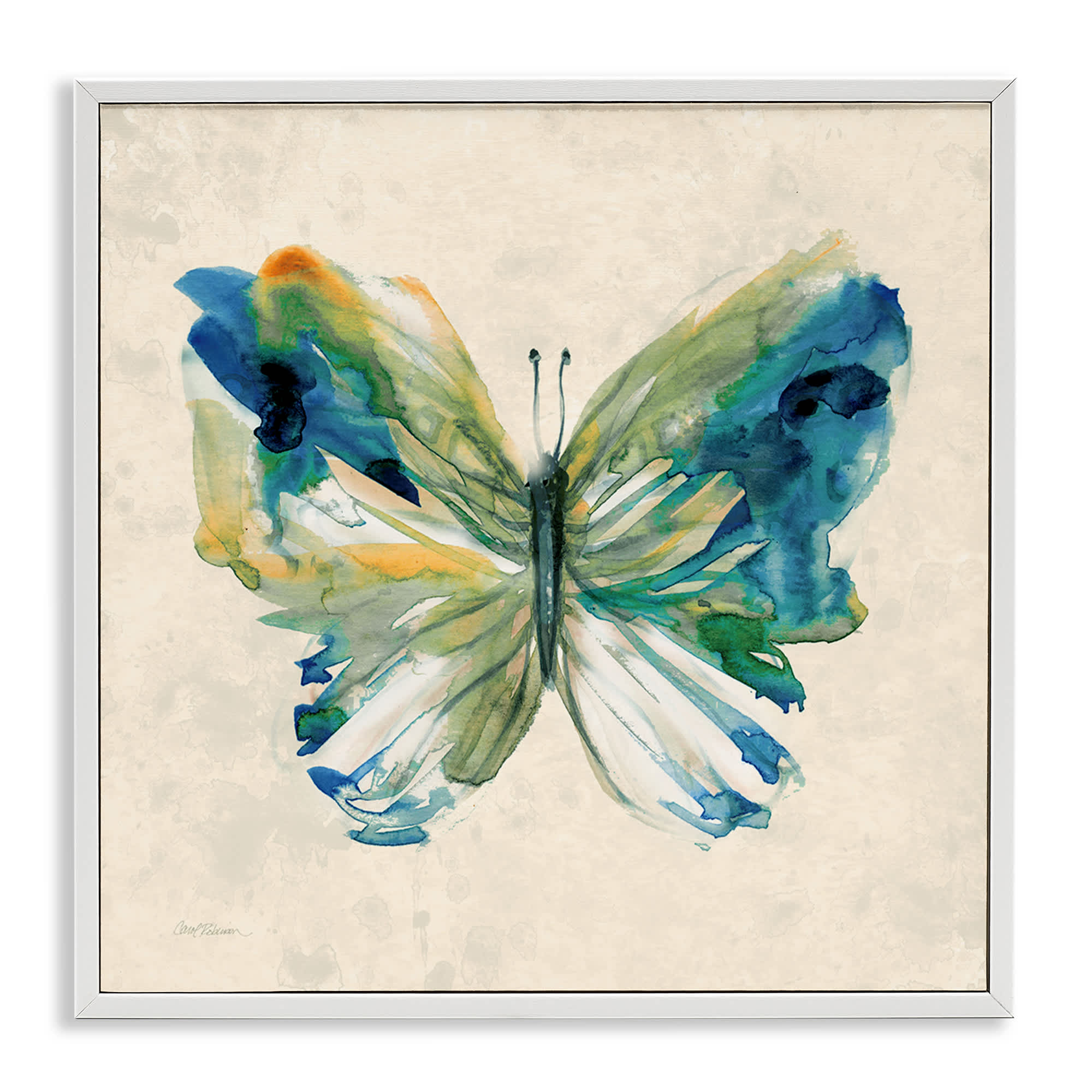Stupell Industries BS-247-WFR-12X12 Vivid Abstract Butterfly Wings White Framed Giclee Art By Carol Robinson 12 x 12