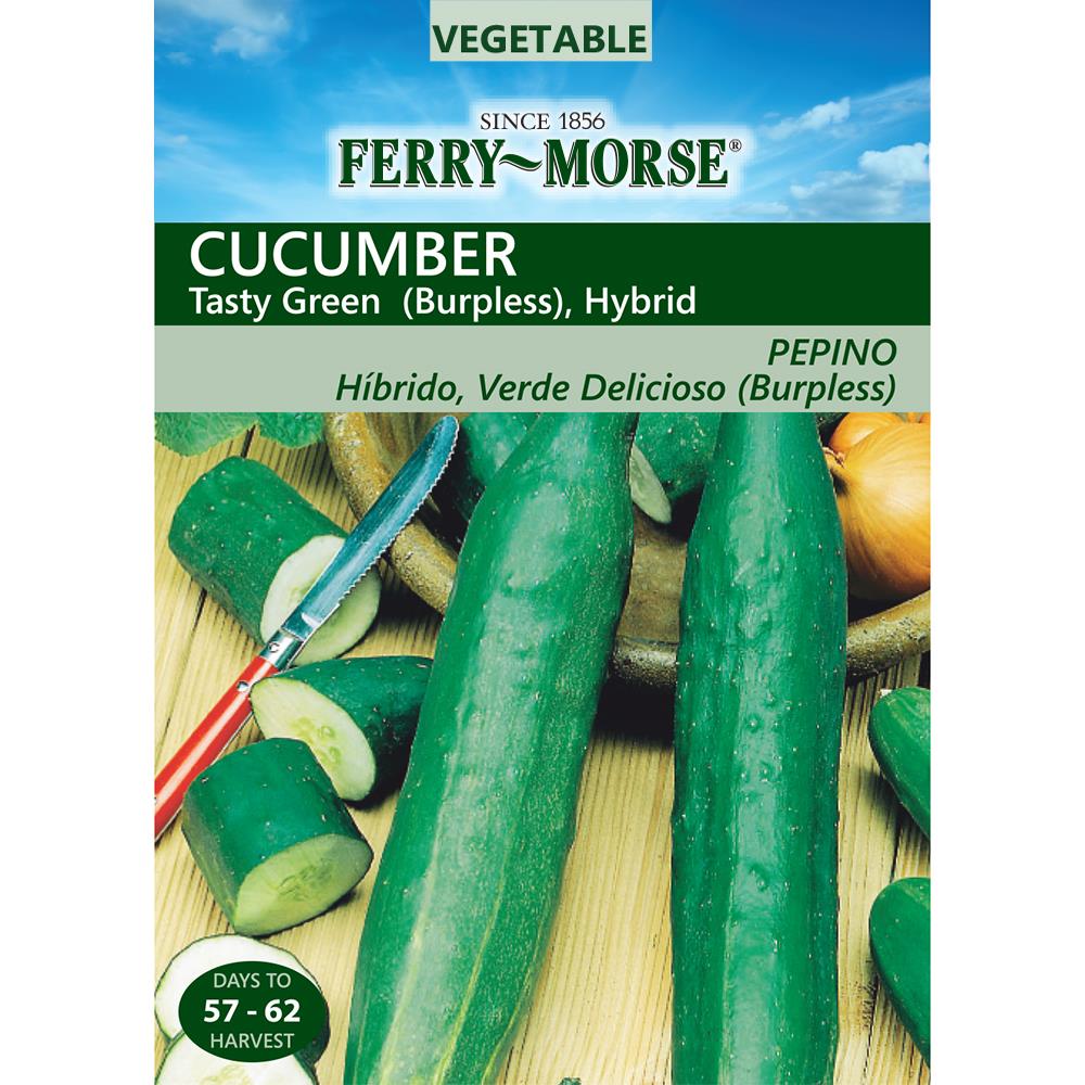 Tasty Green Cucumber Seeds