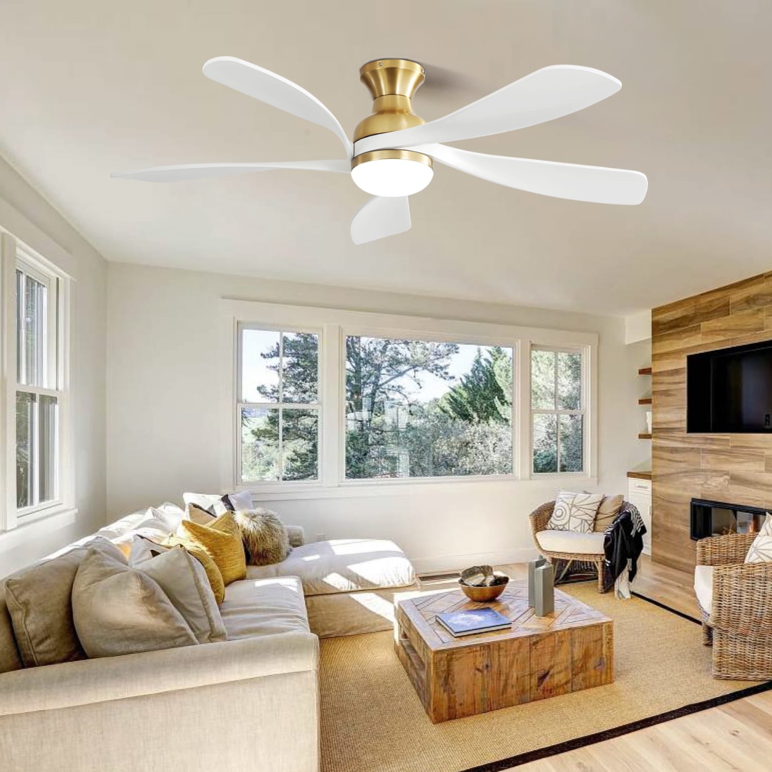 Sofucor LS-52K073SMTY-BG-WH Ceiling-Fans - View #9