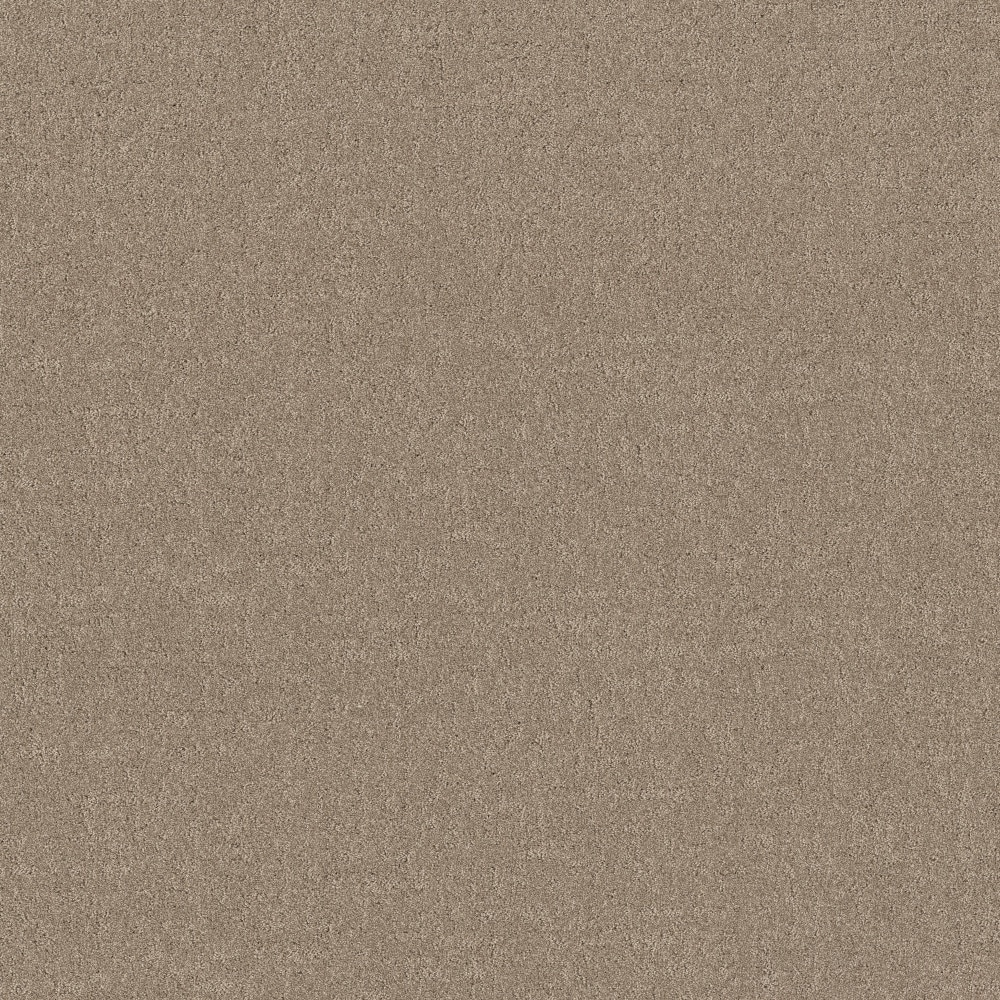 STAINMASTER PetProtect 7L945-124-SAMP (Sample) 8-in x 8-in with LeakDefense Pampured Paws Chic Taupe Brown 48.8-oz sq yard High-performance polyester Pattern Indoor Carpet