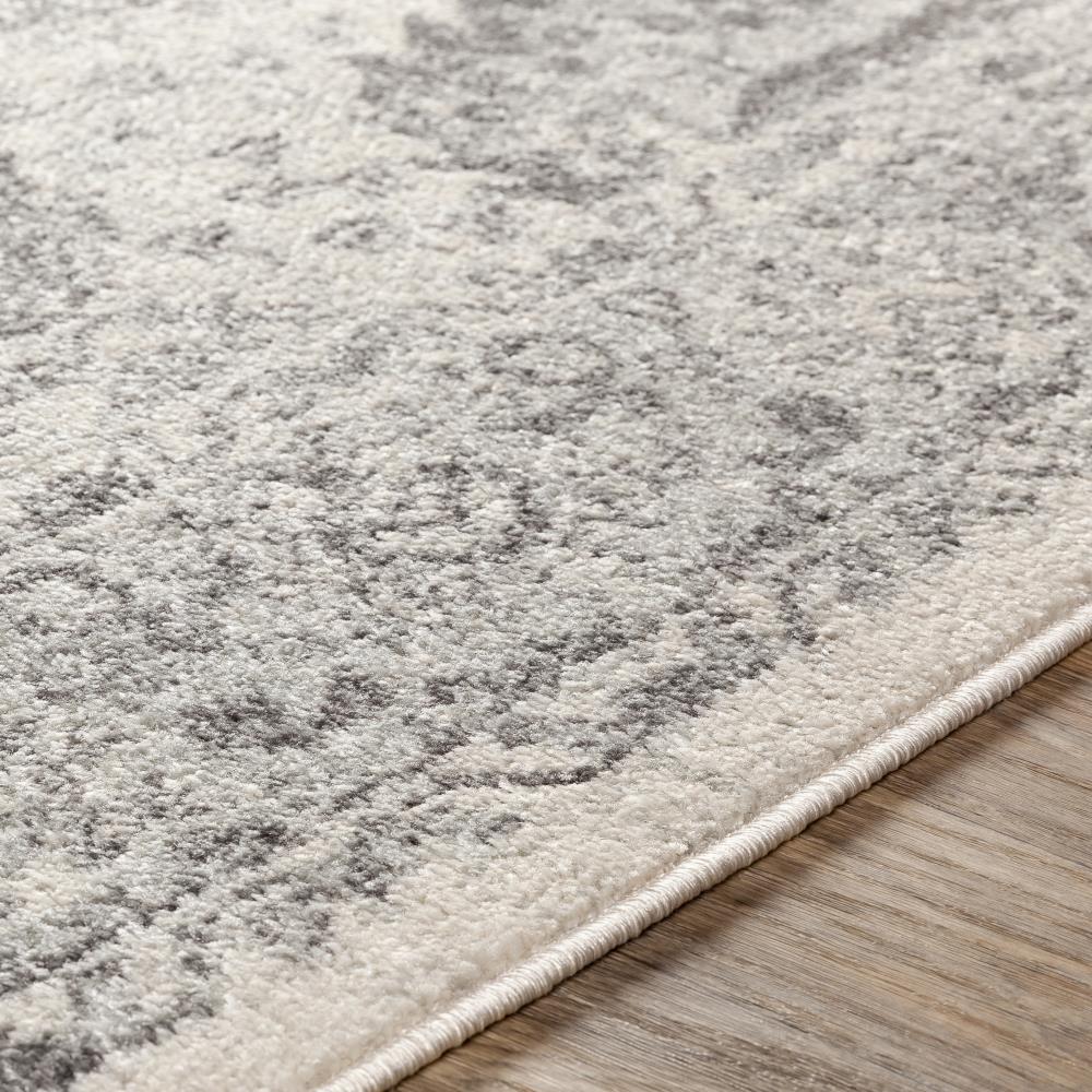 Surya CHE2300-710103 rugs - View #4