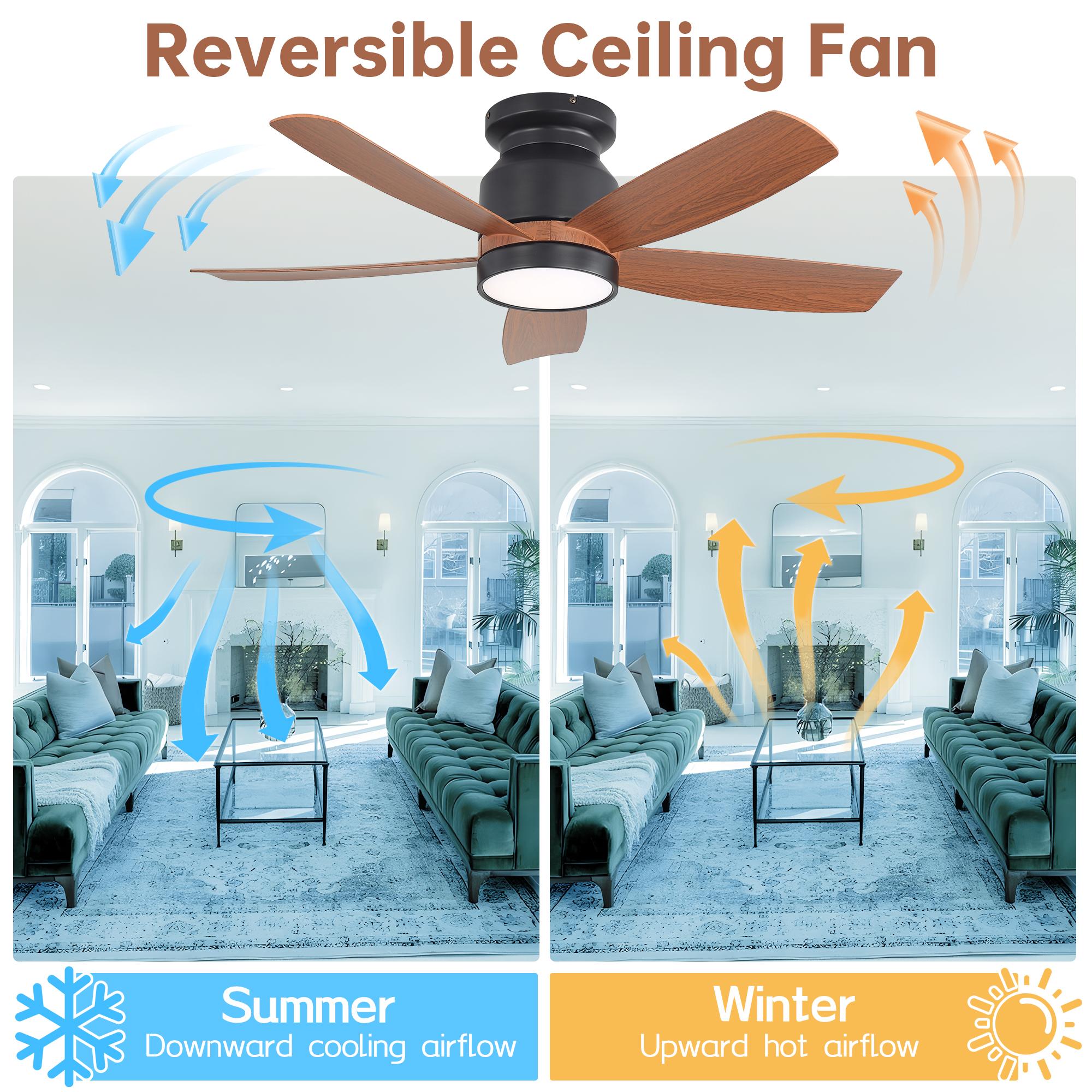 Bayfeve BF-432041-MP Ceiling-Fans - View #6