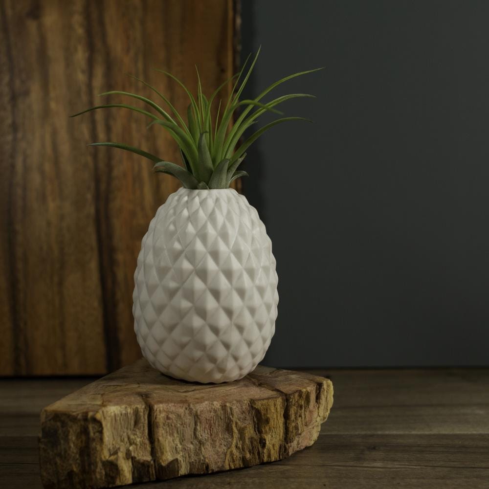LiveTrends LTE-ANANAS hseplants - View #2