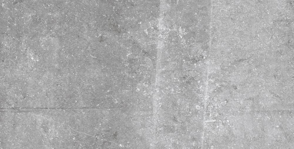Emser A85BLUEGR1224M Blue Emotion Gray 12-in x 24-in Matte Porcelain Stone Look Tile (11.625-sq. ft/ Carton)