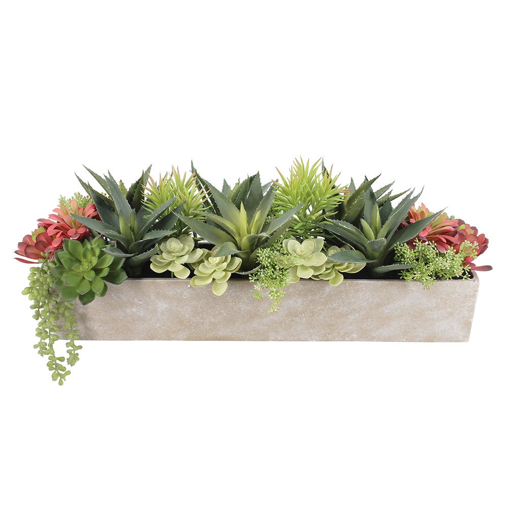 CG Hunter SUC-24015 Artificial-Plants-Trees - View #4