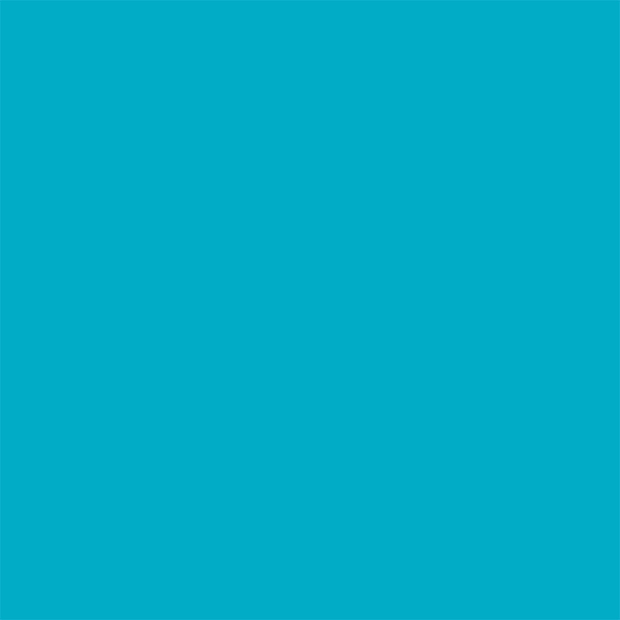 Texas Recreation 169384 Pool-Toys-Floats - View #9