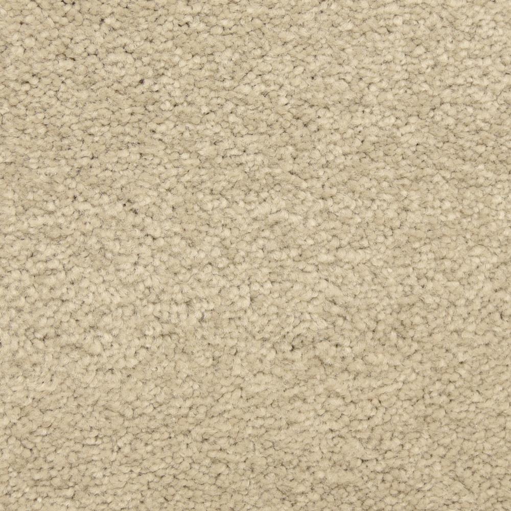 Hush-Hush Carpet Samples at Lowes.com