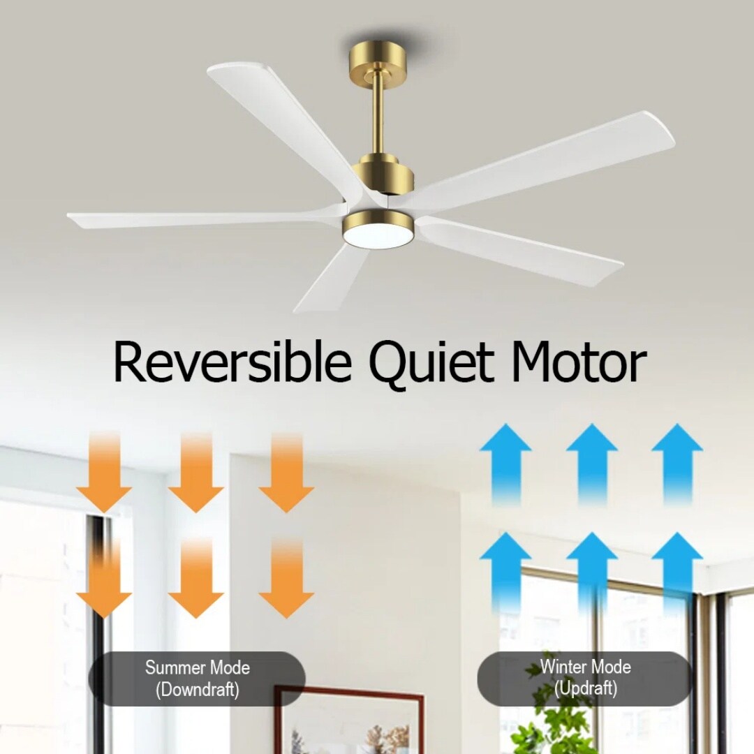 MLIAN WBCF-BS260-GW Ceiling-Fans - View #4