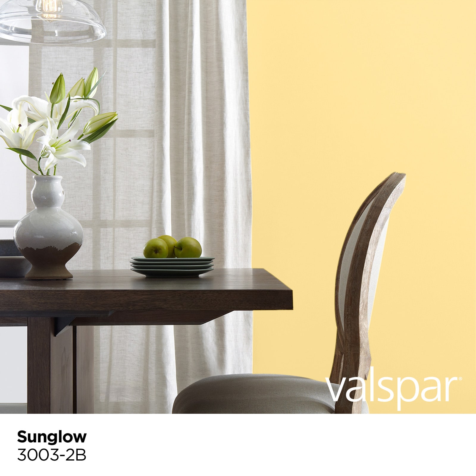 Valspar 3003-2B-2916580 Int-Ext-Paint - View #3