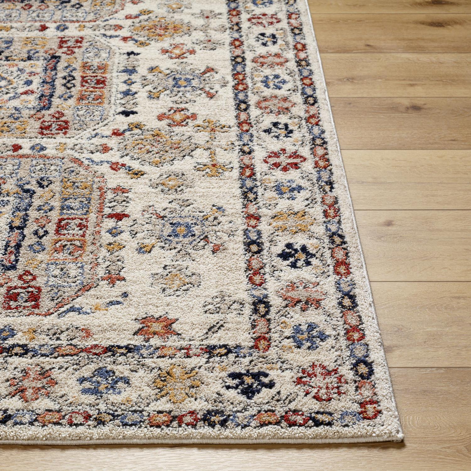 Livabliss LBE2305-537 rugs - View #3