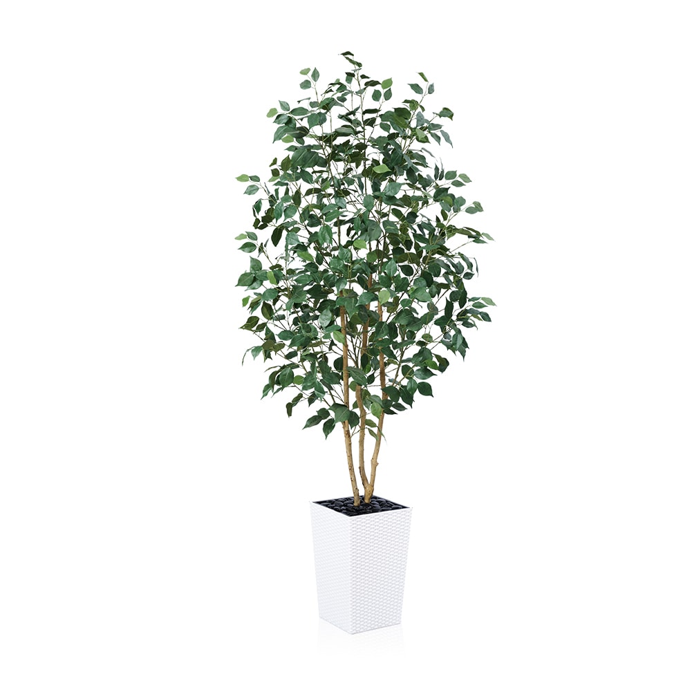 VeriNatural 72-in Indoor Artificial Ficus Tree Potted Faux Silk Ficus ...