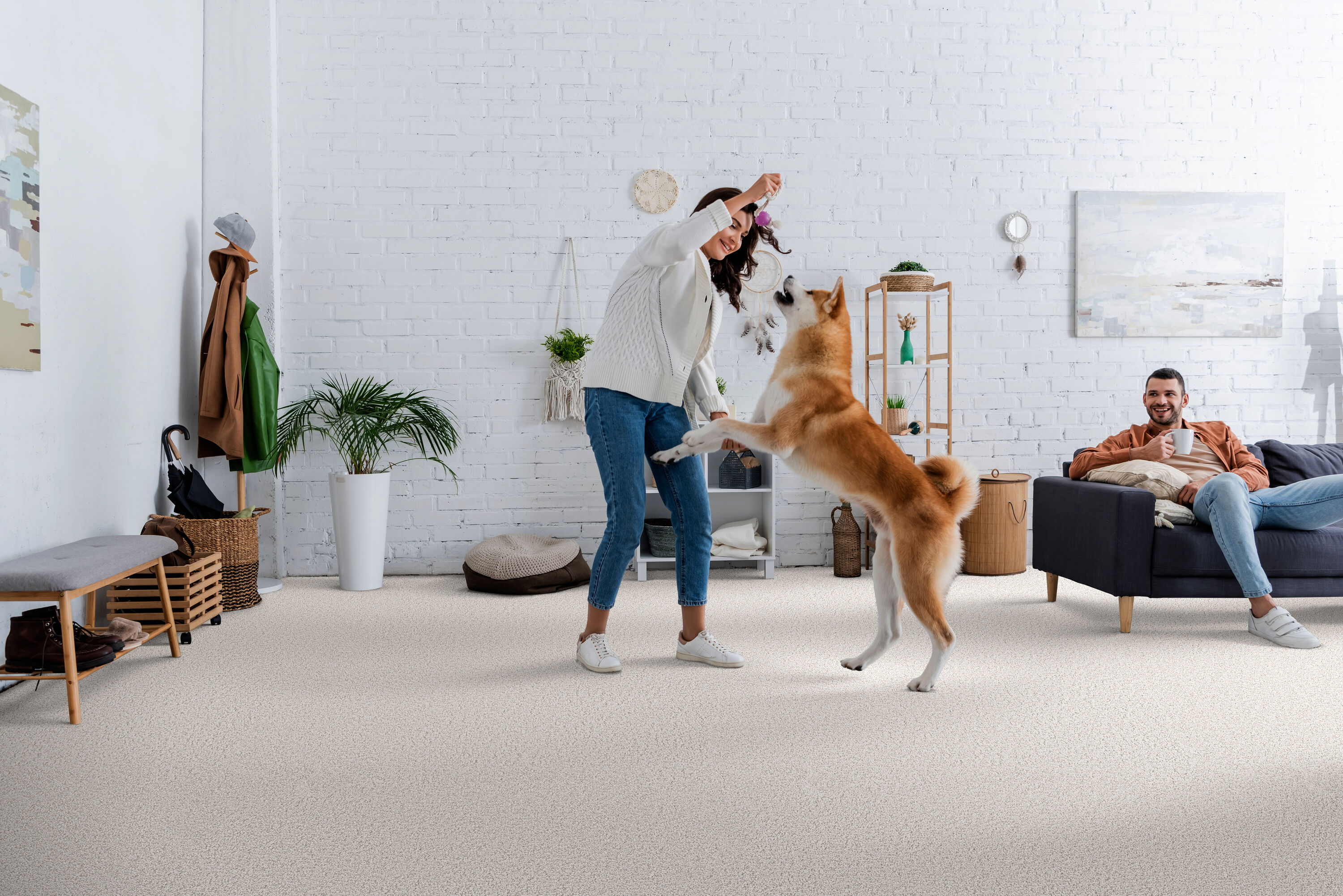 STAINMASTER PetProtect 7L88400501 Carpet-Panel - View #3