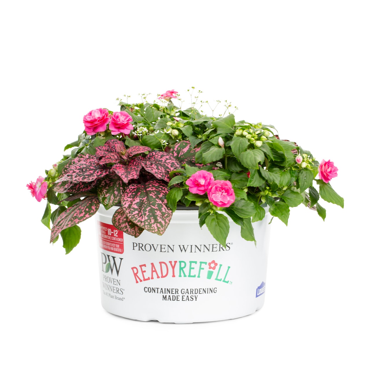 Proven Winners 4916 Multicolor Gloria Rose Combo in 1.5 Gallon(s) Pot 1 -Pack