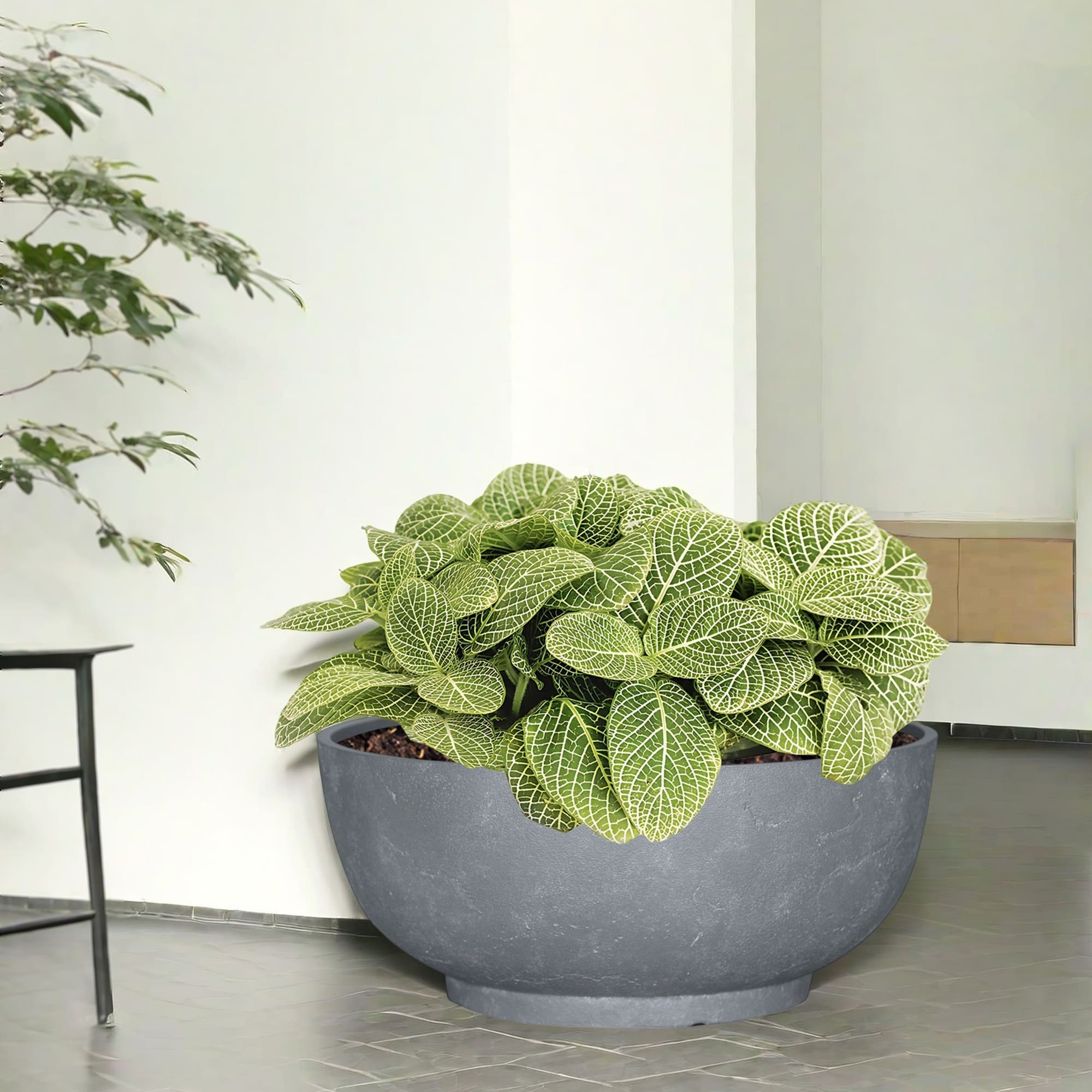 allen + roth PLH8014TCH Planter-Window-Box - View #2