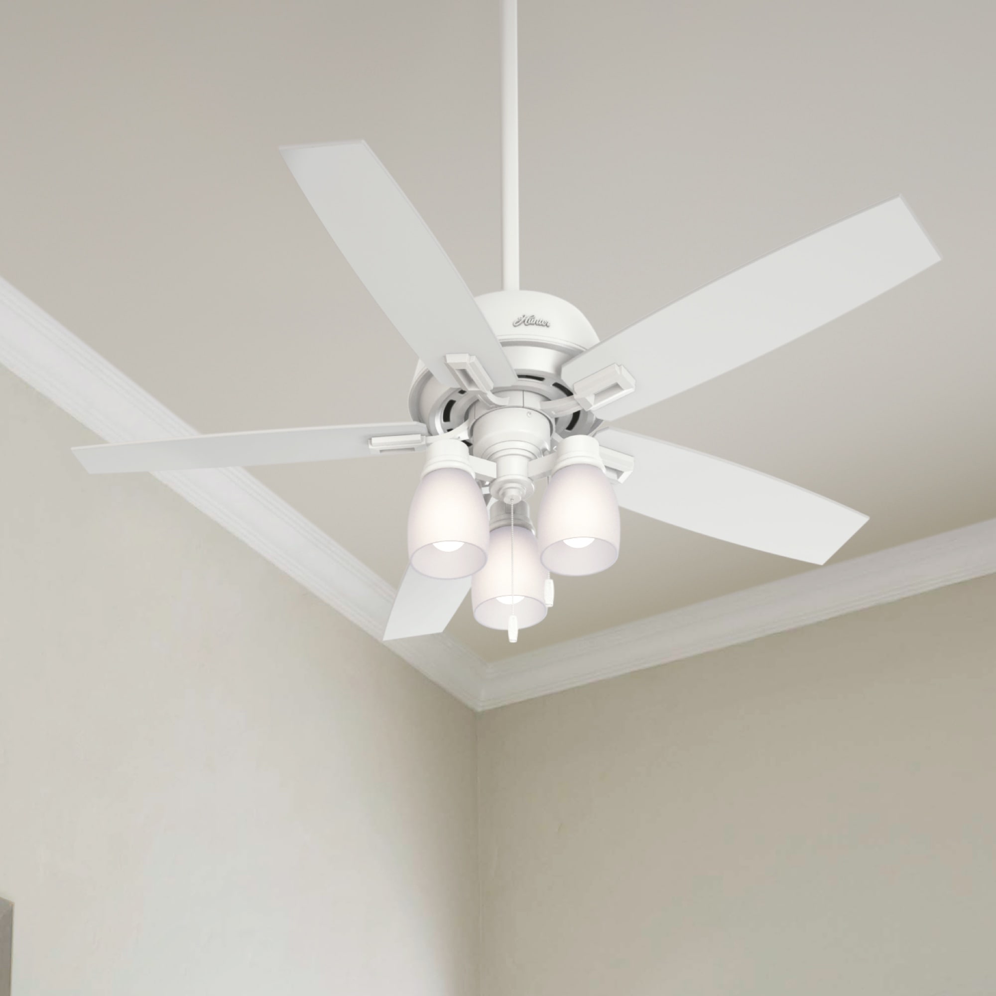 Hunter Donegan 52-in Ceiling Fan with Light (5-Blade) at Lowes.com