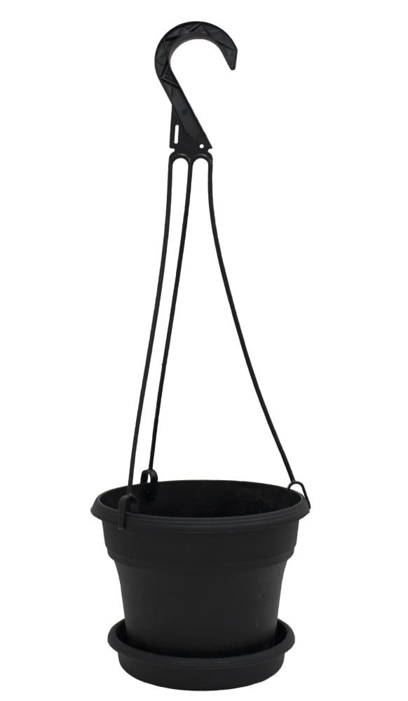 Costa Farms CO.IV6.1.HB.BLK  - View #2