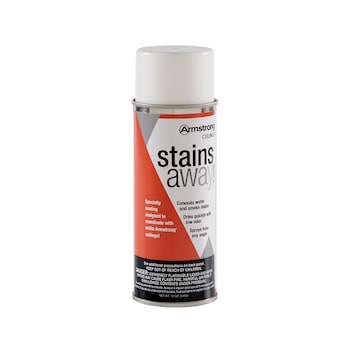Armstrong Ceilings StainsAway Flat White Spray Paint and Primer In One ...