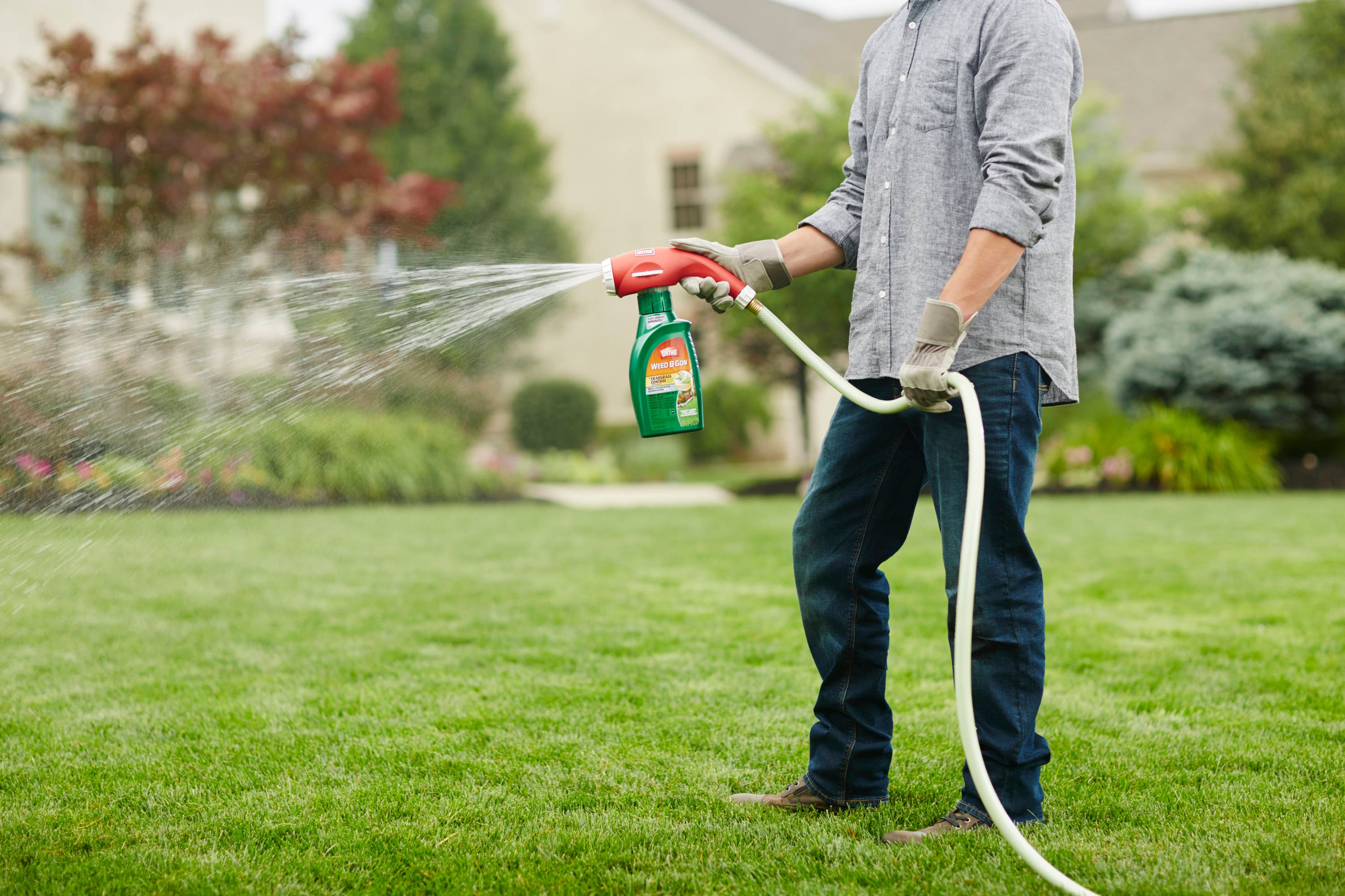ORTHO 9906010 Weed-Killers - View #5
