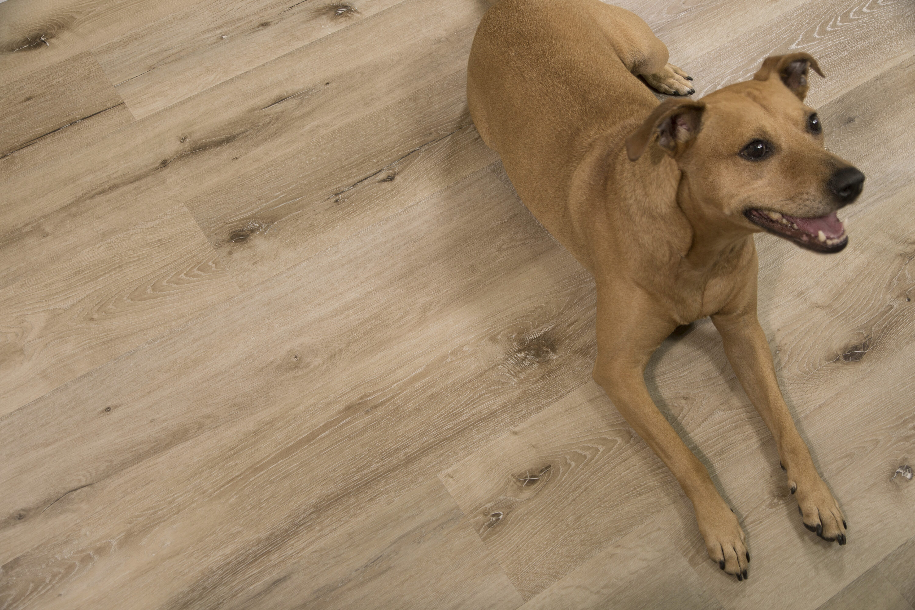 CALI 7904200107 Luxury-Vinyl-Plank-Samples - View #4