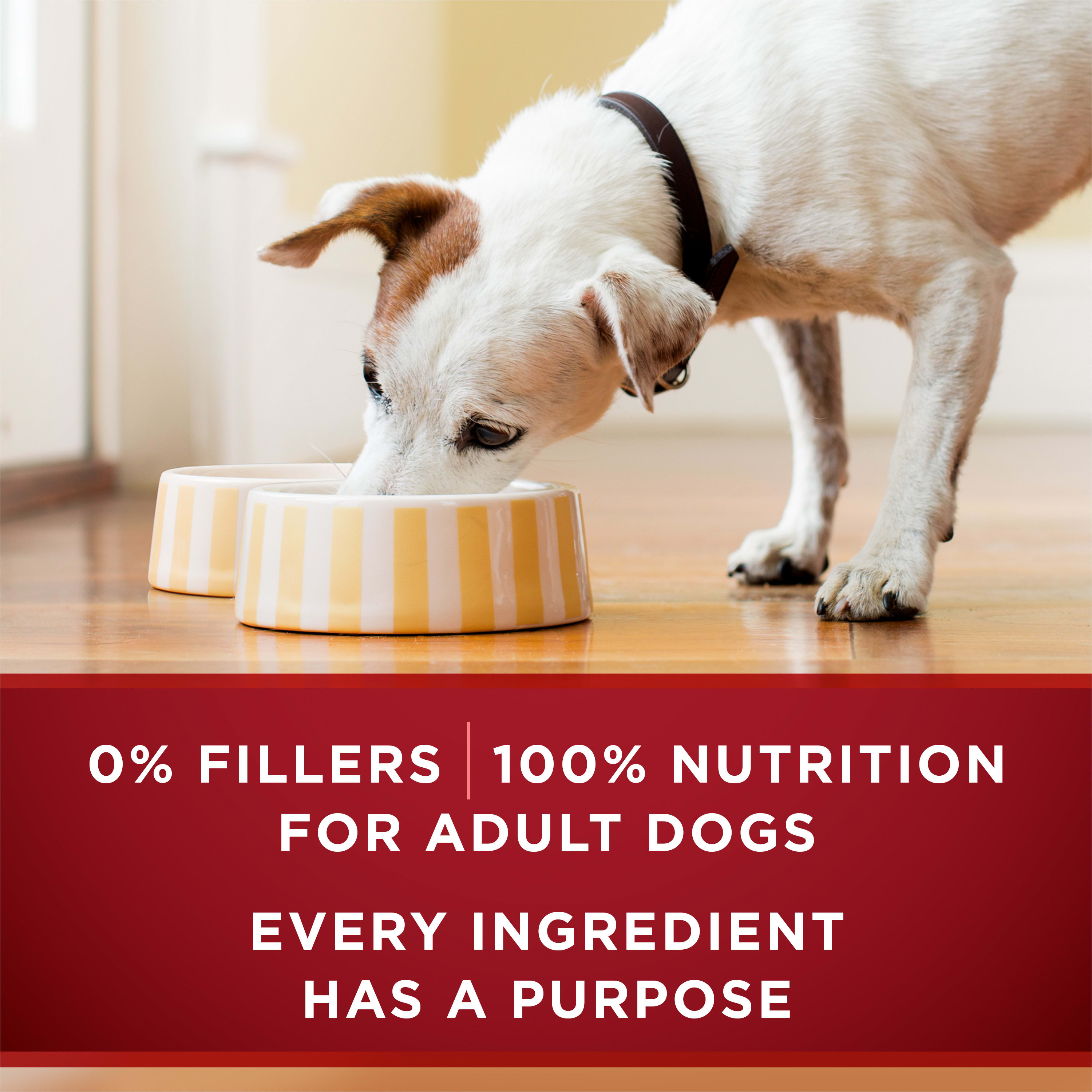 Nestle Purina 001780017584 Wet-Dog-Food - View #5