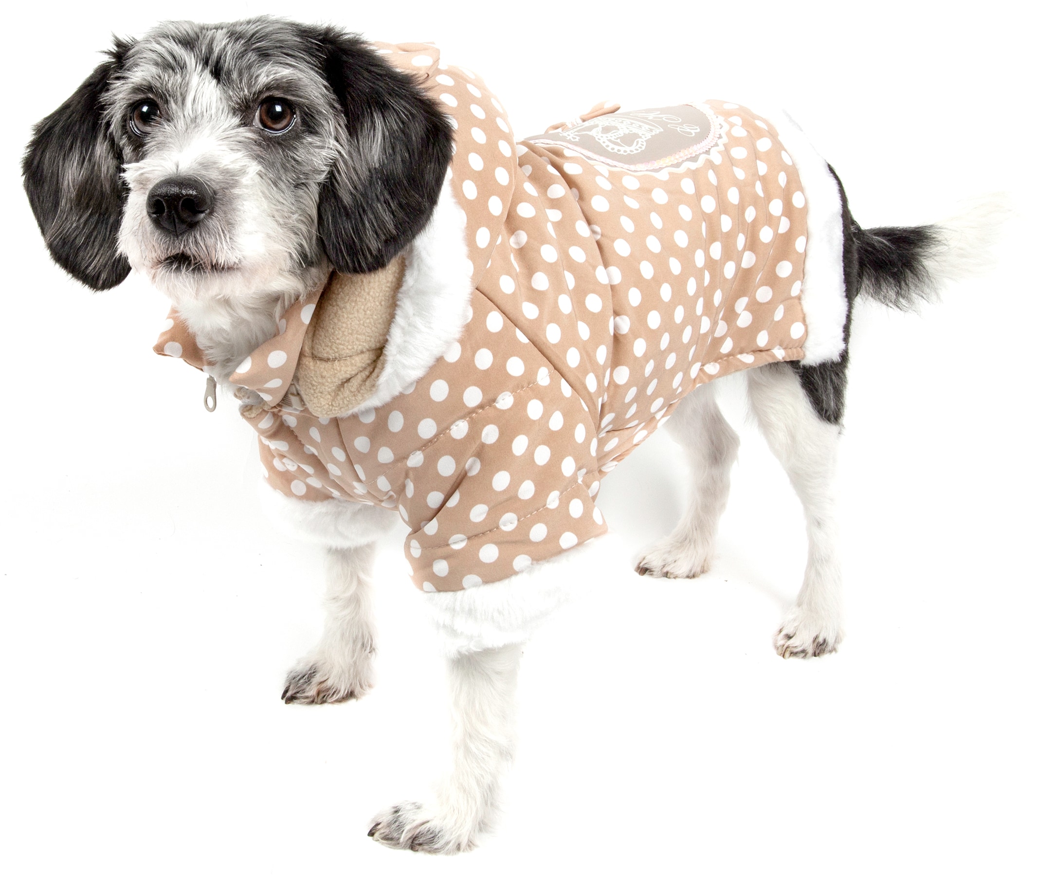 pet couture clothing