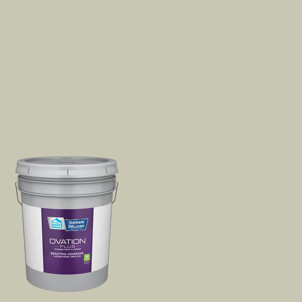 HGTV HOME by Sherwin-Williams 6001-3B-2557223 Ovation Plus Flat Mint Frost 6001-3B Latex Interior Paint Paint + Primer ( 5-gallon )