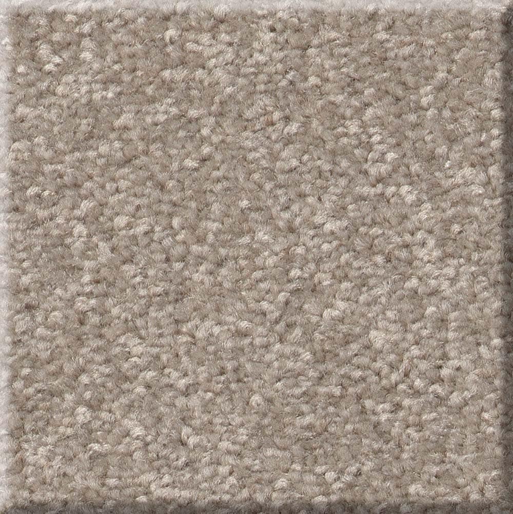 STAINMASTER 7L86100110 Best Intentions I 12-FT Glacier Brown 39-oz sq yard Polyester Textured Indoor Carpet
