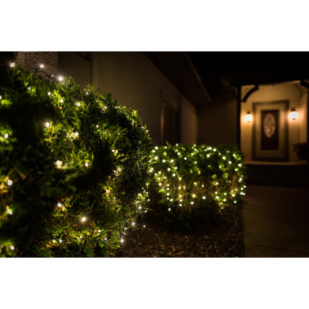Vickerman X4G2811 Christmas-Net-Lights - View #7