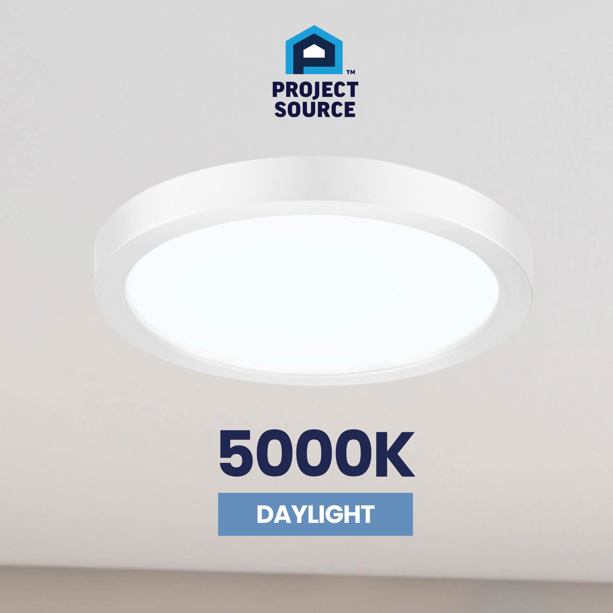 Project Source 43540 flushmounts - View #14