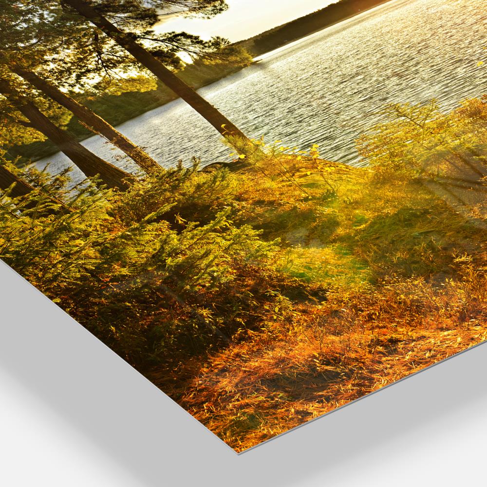 Designart 28-in H x 60-in W Landscape Metal Print in the Wall Art ...