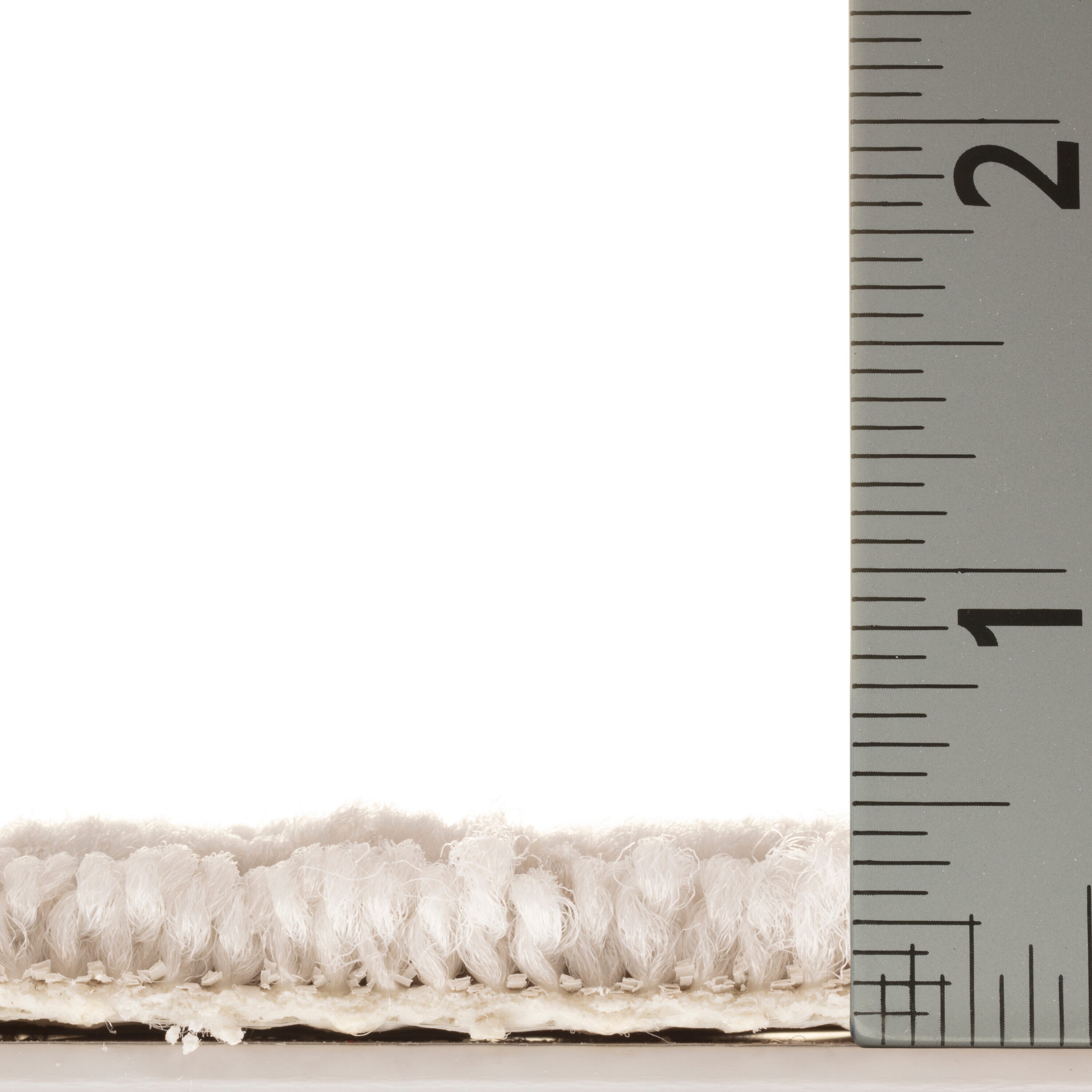 STAINMASTER PetProtect 7L885 - 500 - SAMP Carpet-Samples - View #6