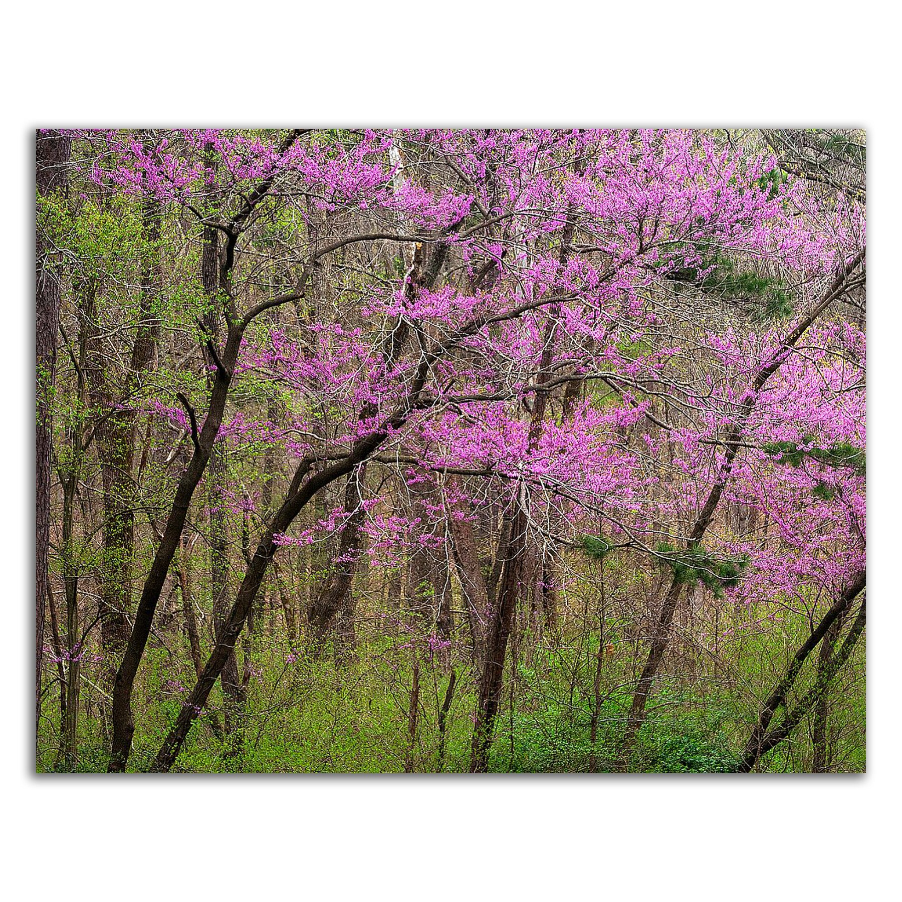 Tangletown Fine Art 8H1528DC-1814 Wall-Art - View #3