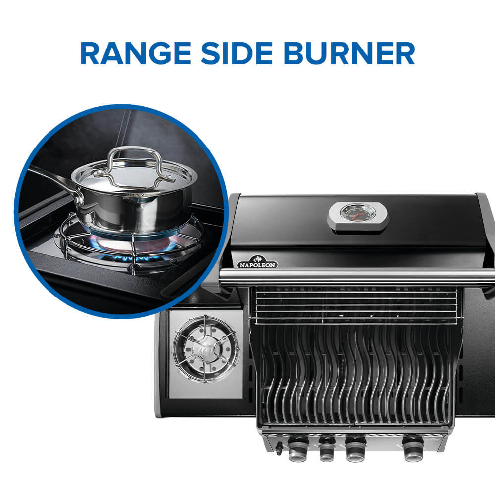 NAPOLEON R425SBPK-2-FB Gas-Grill - View #9
