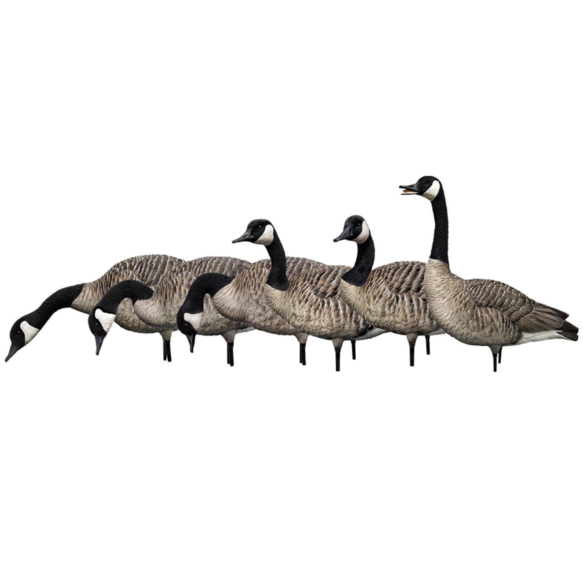  Avian X 408596 Hunting-Equipment - View #9