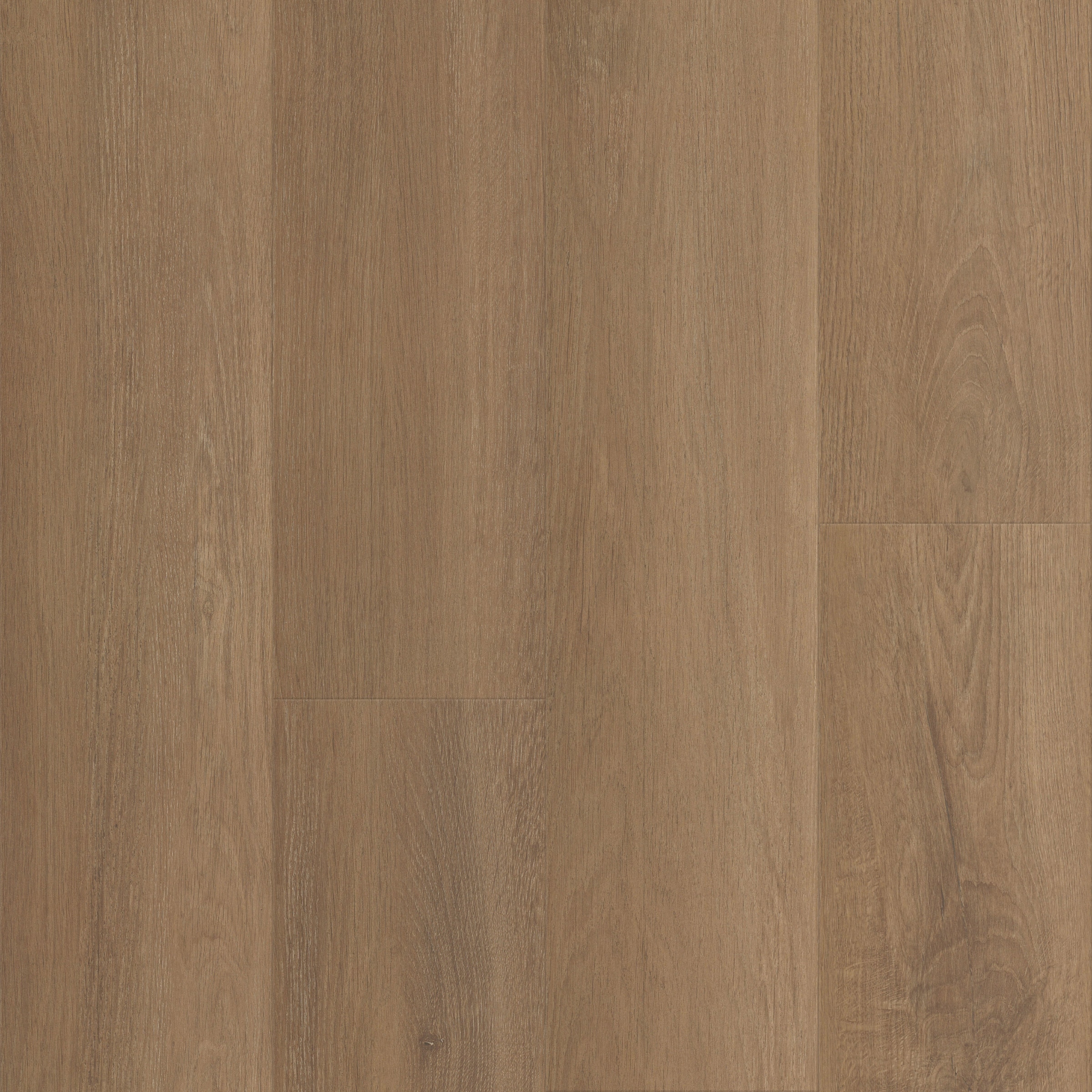 CALI (Sample) Aqua Tough Natural Surfwood 12-mm T x 6-in W Waterproof Laminate Wood Flooring #7703001207