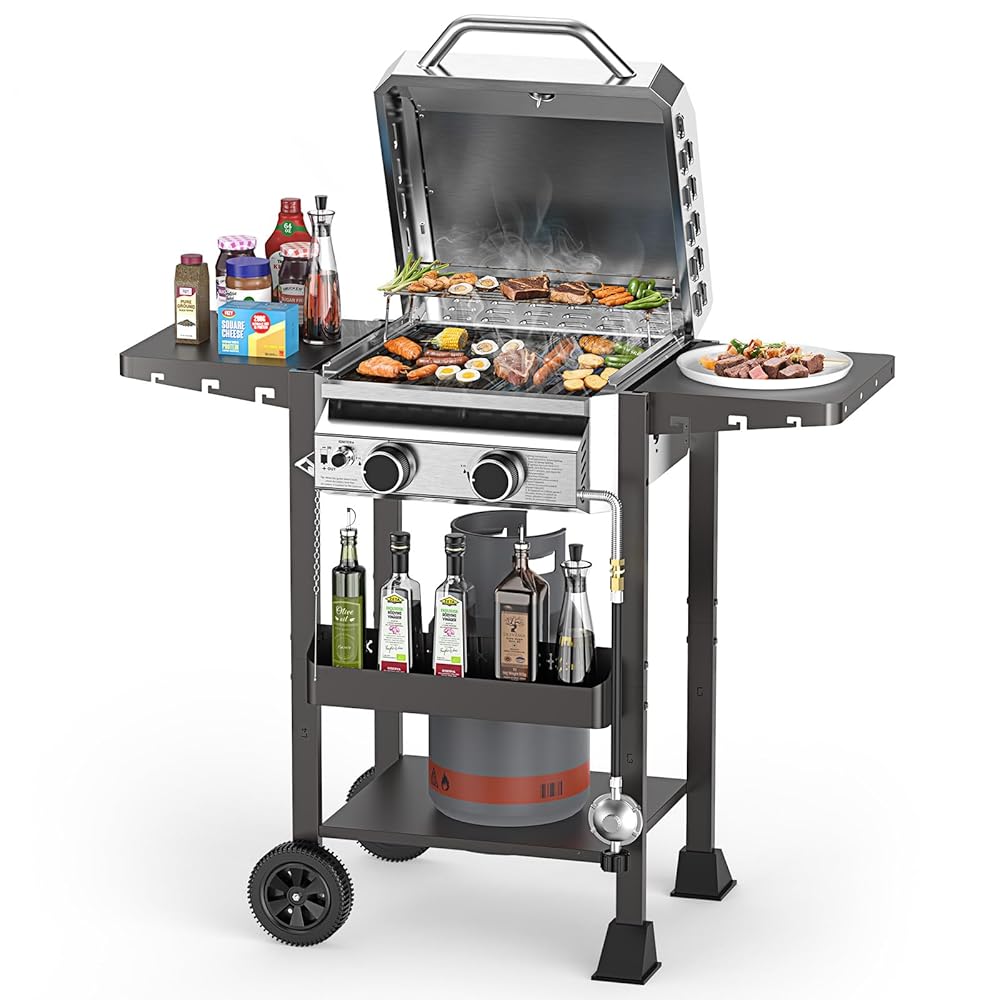 R.W.FLAME - Silver 2 -Burner Liquid Propane Gas Grill
