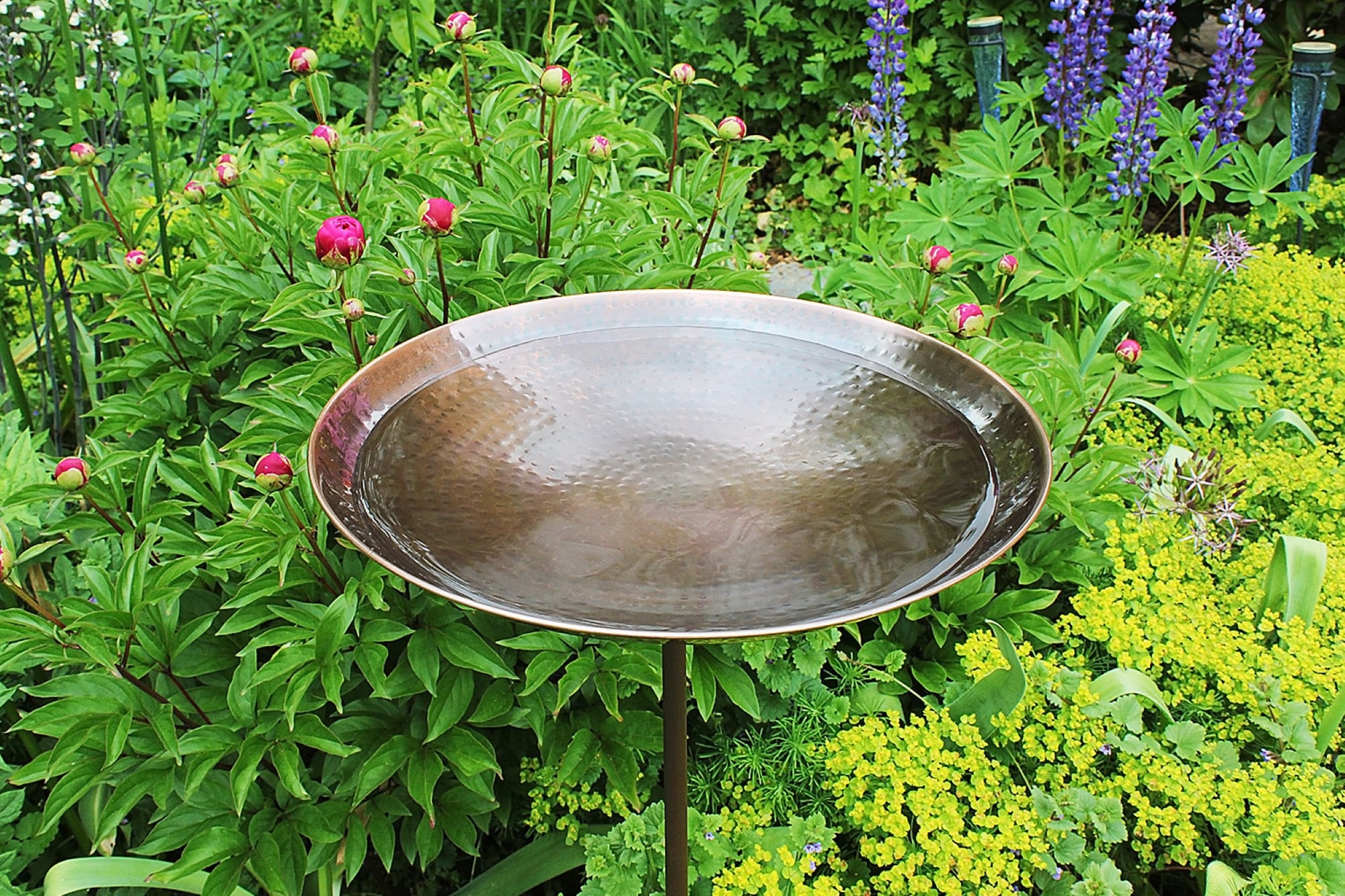 ACHLA Designs 201-3014 birdbaths - View #3