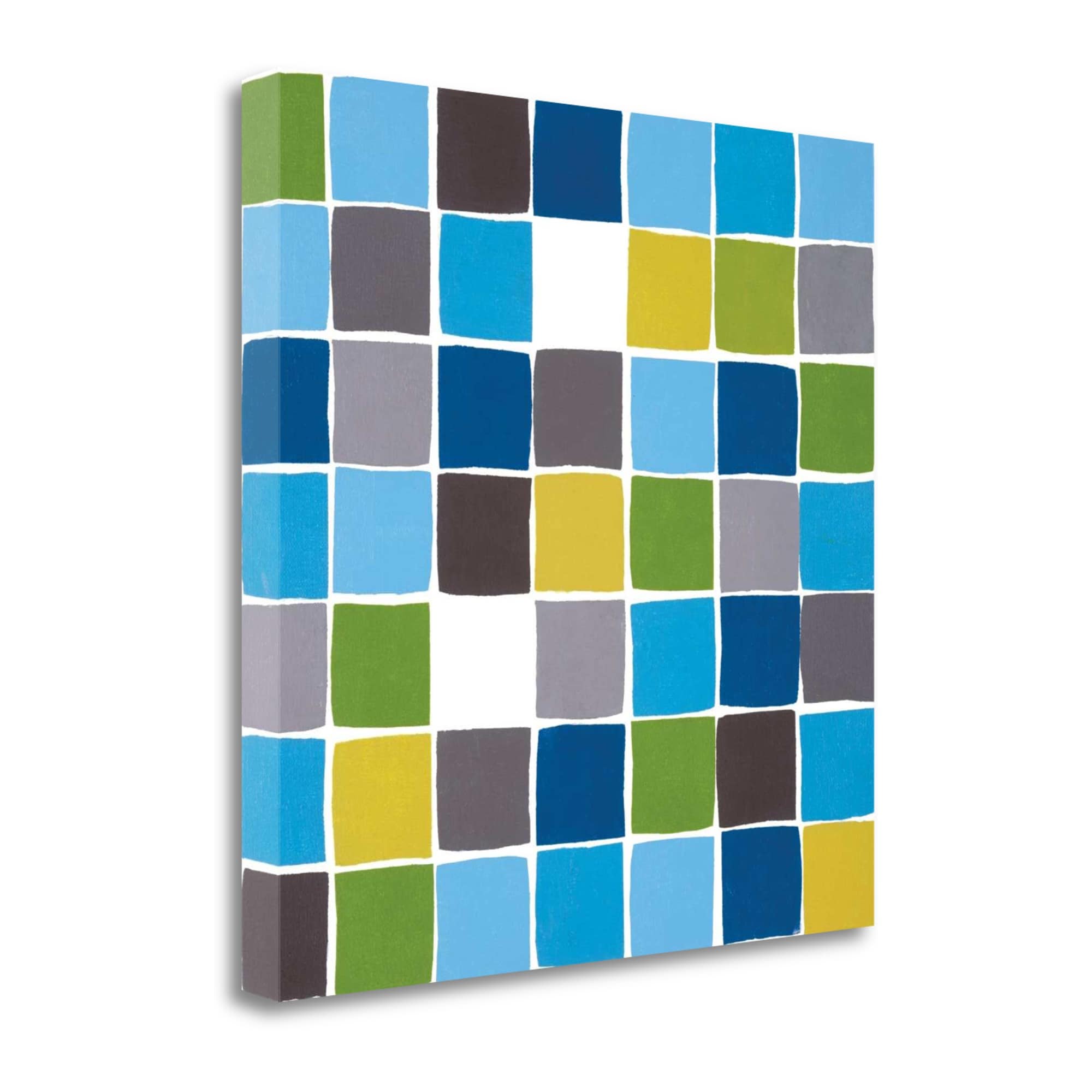 Tangletown Fine Art CALIP104-2424C Empty Spaces Isabel Lawrence 24-in H x 24-in W Abstract Print on Canvas