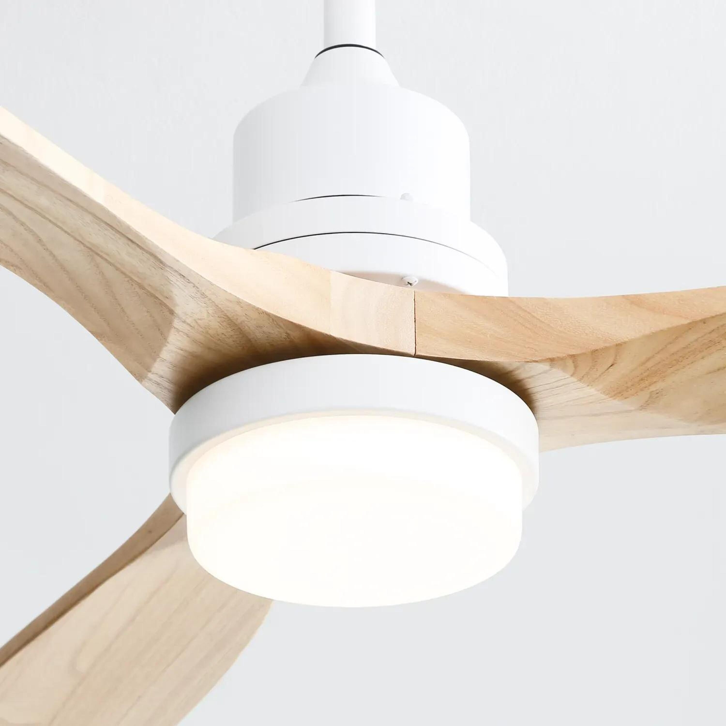 Bayfeve BFKS-45941-CF Ceiling-Fans - View #10