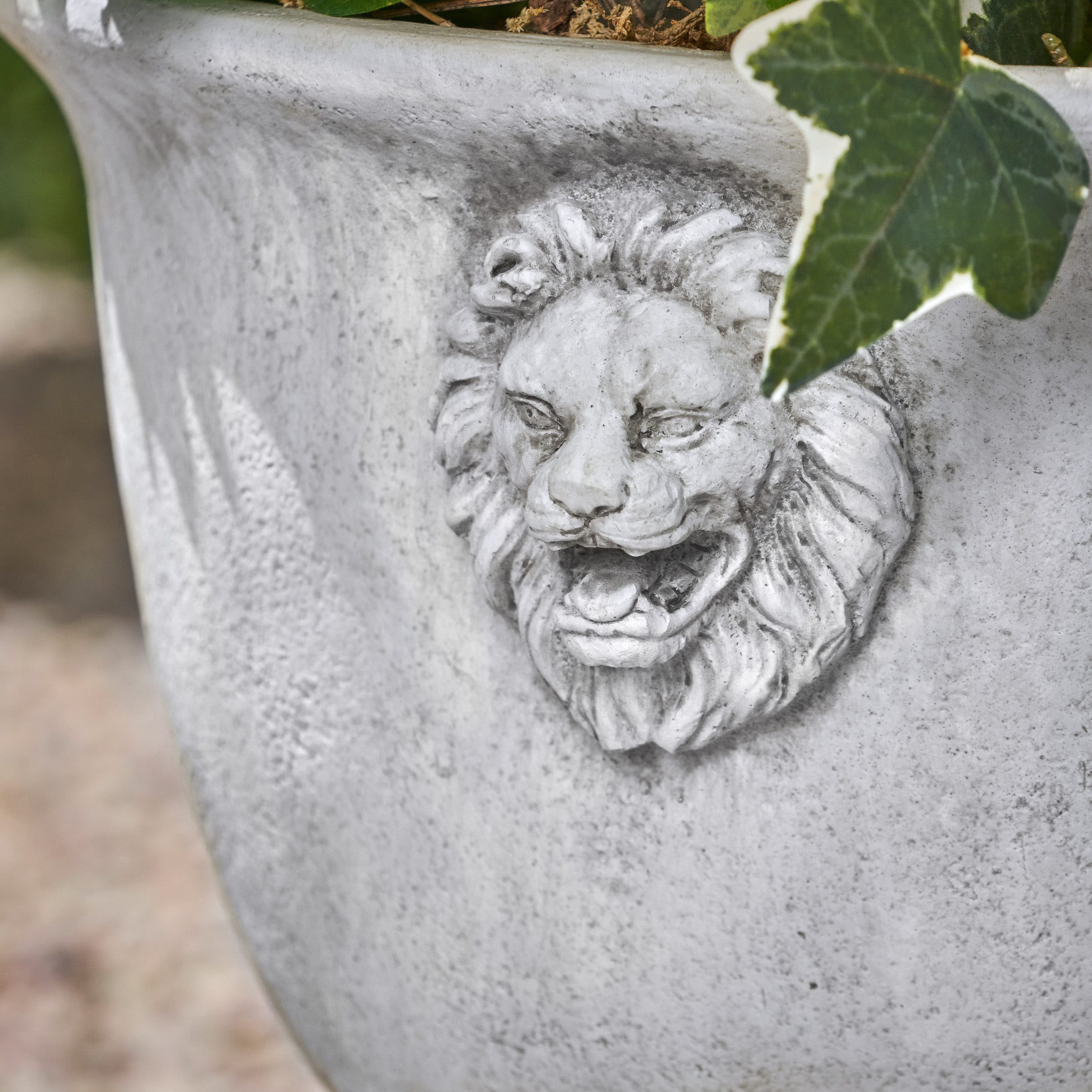 AHIOU HOME ZAAHG-63408.00WHIPP Planter-Window-Box - View #7