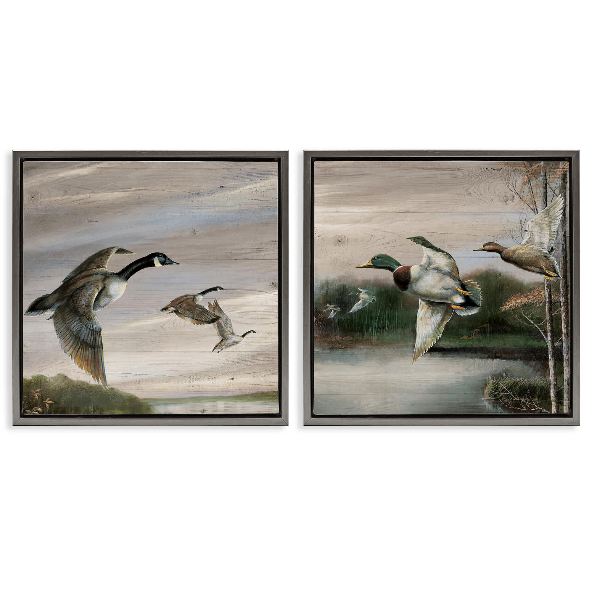 Stupell Industries B2-735-FFL-2PC-24X24 Geese and Ducks in Nature 2 Piece Gray Framed Floater Canvas Set By Ruane Manning 25 x 25