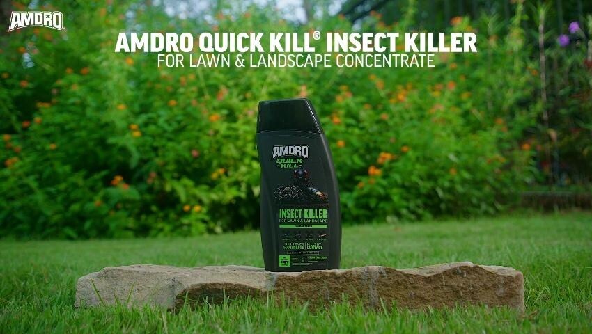 A thumbnail for the video