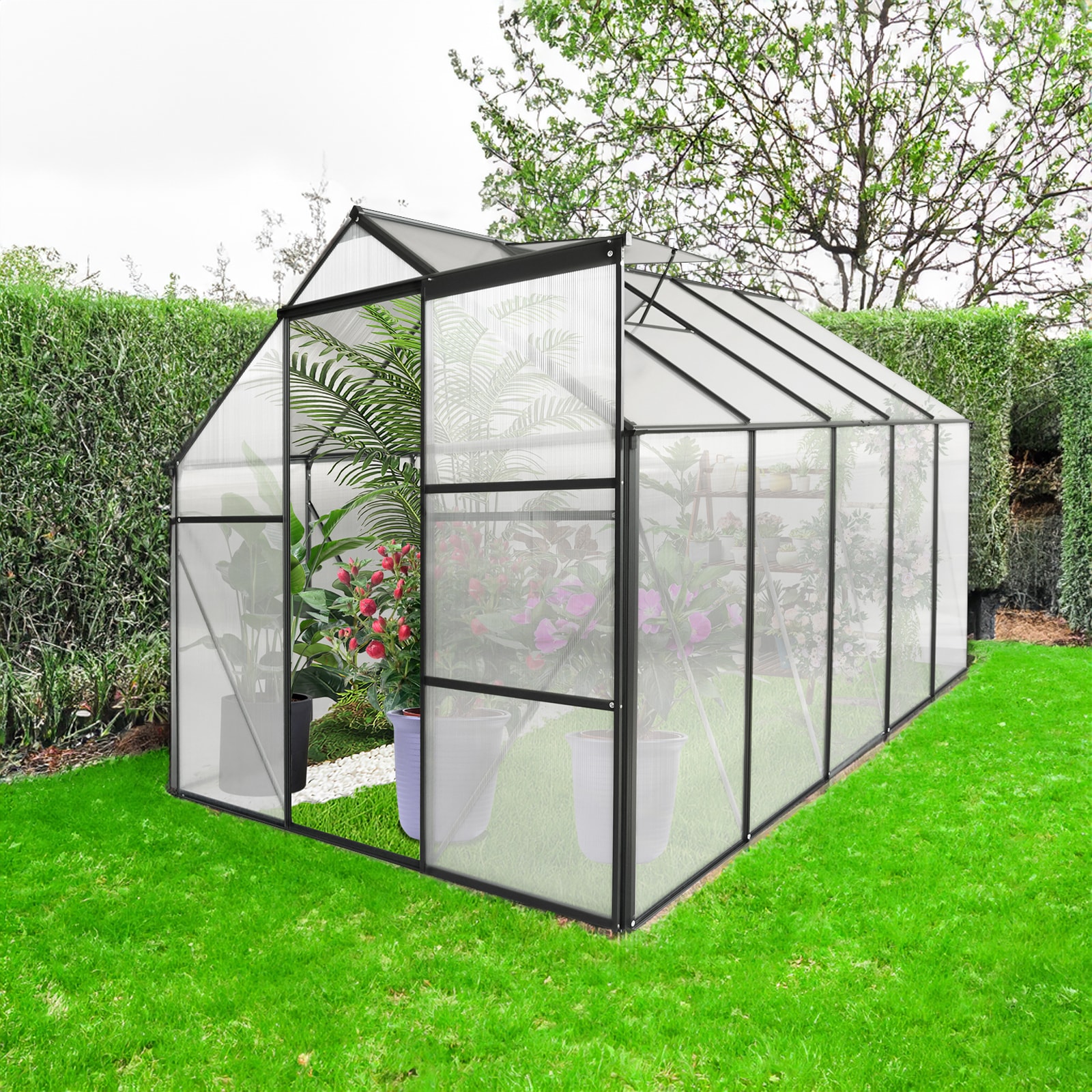 Maocao Hoom MZW400-42034 greenhouses - View #3